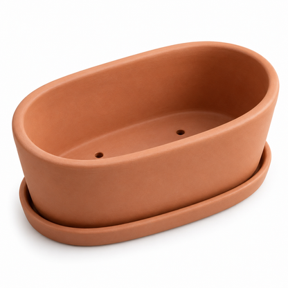 Clay Root Planter on white background