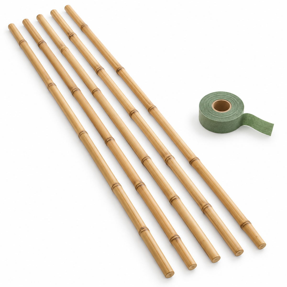 Reed Plant Support Set on white background