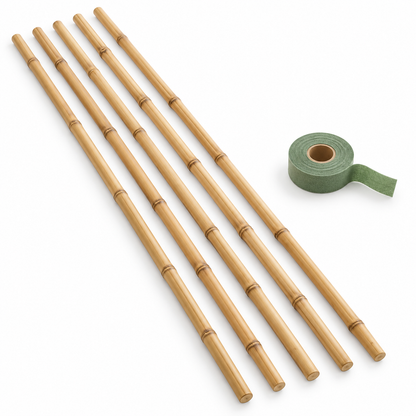 Reed Plant Support Set on white background