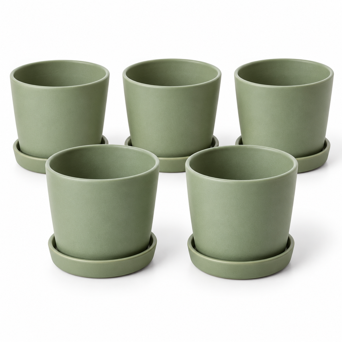 Sage Seedling Pots on white background